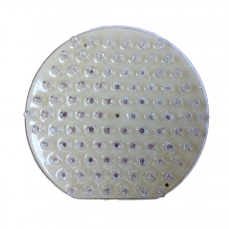 Plaqueta led BELTRAM para LAGUNA-LAGO 100 luz blanca 12V