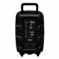 Parlante bluetooth AIWA AW-P240D-SN portátil 2500W negro