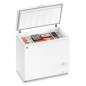 Freezer horizontal GAFA FGHI300B-L 280 litros inverter blanco