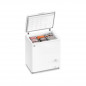 Freezer horizontal GAFA FGHI200B-M 205 litros inverter blanco