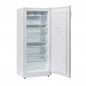 Freezer vertical BRIKET FV6200 cíclico 235 litros blanco