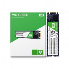 Disco sólido SSD WESTERN DIGITAL GREEN 480GB M.2