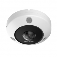 Cámara de seguridad HIKVISION DS-2CD6365G1-IVS Ojo de Pez IP67