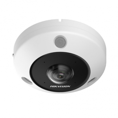 Cámara de seguridad HIKVISION DS-2CD6365G1-IVS Ojo de Pez IP67