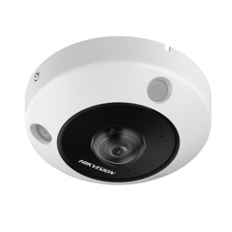 Cámara de seguridad HIKVISION DS-2CD6365G1-IVS Ojo de Pez IP67